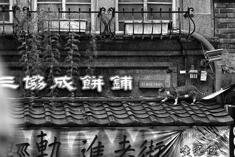 優選-張智翔-歷史的腳印（淡水風情）