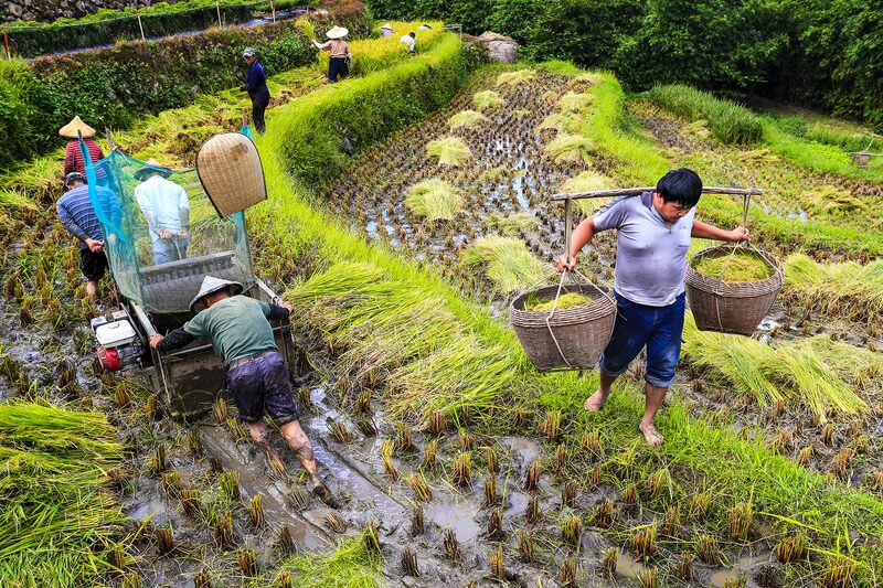 潘同正